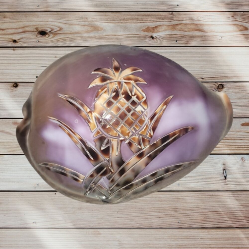 HAWAII Souvenir - Vintage Cowrie Tiger Seashell Carved Etched Hawaii Pineapple